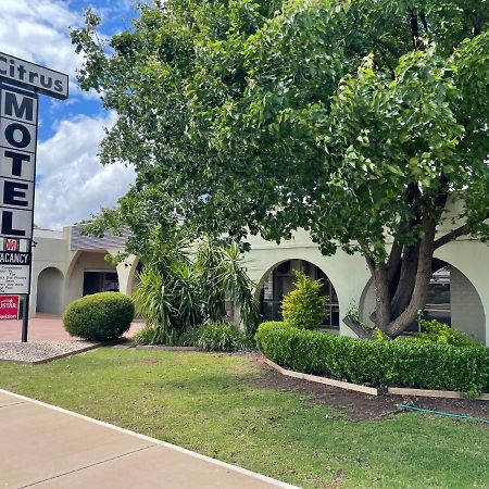 Citrus Motel Griffith Exterior photo